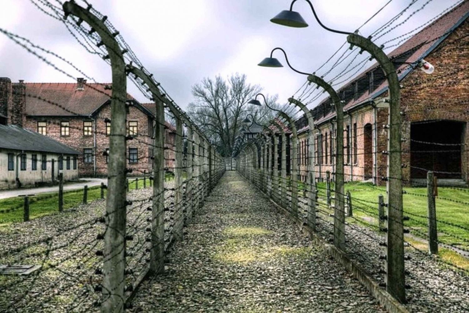 De Cracóvia: Tour guiado em grupo por Auschwitz-Birkenau em uma minivan