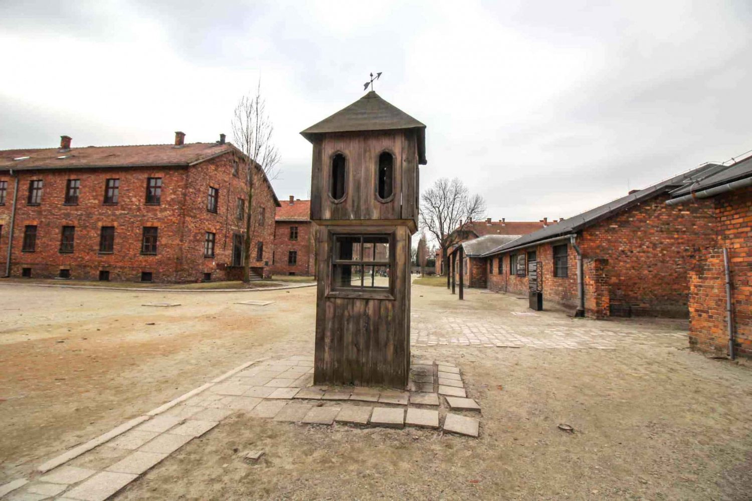 From Krakow: Auschwitz-Birkenau Group Tour by Minivan