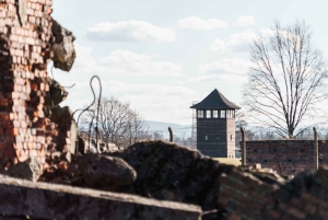 From Krakow: Auschwitz-Birkenau Guided Day Tour