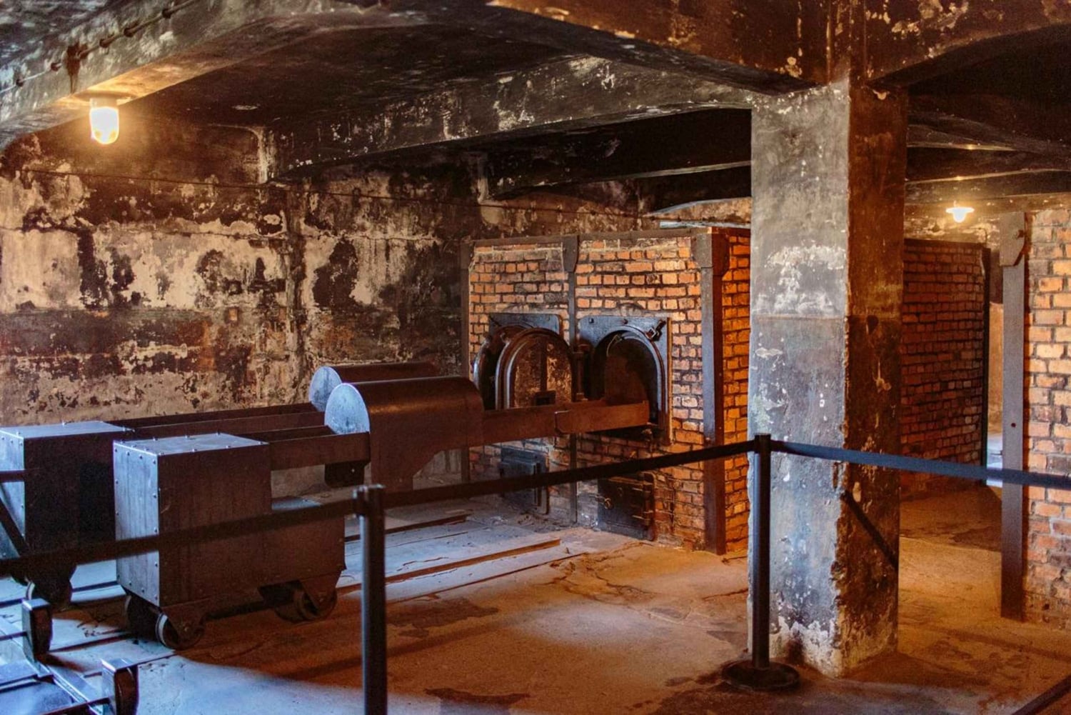 Från Krakow: Auschwitz-Birkenau guidad dagsutflykt