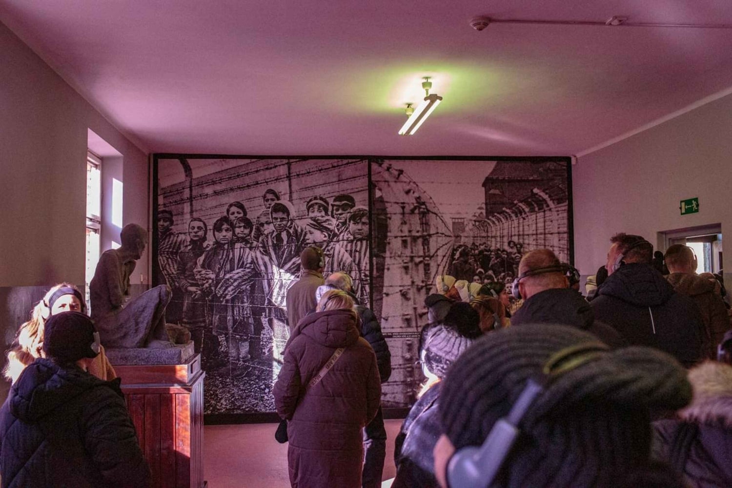 Från Krakow: Auschwitz-Birkenau guidad dagsutflykt