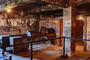 Från Krakow: Auschwitz-Birkenau guidad dagsutflykt