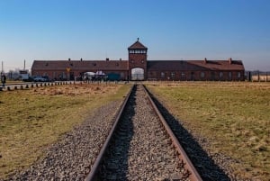 Från Krakow: Auschwitz-Birkenau guidad dagsutflykt