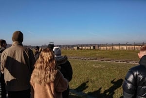 Från Krakow: Auschwitz-Birkenau guidad dagsutflykt