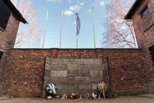 Krakow: Auschwitz-Birkenau Guided Tour with Transport