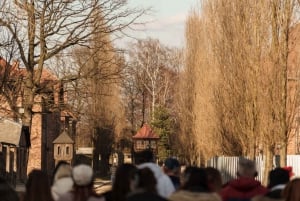 Krakow: Auschwitz-Birkenau Guided Tour with Transport