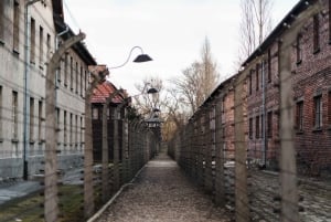 Krakow: Auschwitz-Birkenau Guided Tour with Transport