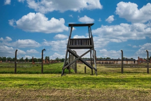 Vanuit Krakau: Auschwitz & Birkenau rondleiding met pick-up