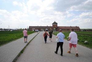 Da Cracovia: tour guidato ad Auschwitz-Birkenau e servizio di prelievo in hotel
