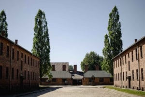 Cracovia: tour guidato di Auschwitz-Birkenau con servizio navetta