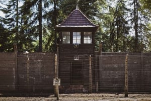Cracovia: tour guidato di Auschwitz-Birkenau con servizio navetta