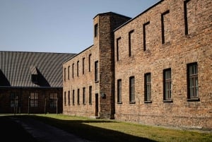 Cracovia: tour guidato di Auschwitz-Birkenau con servizio navetta