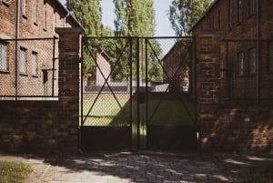 Cracovia: tour guidato di Auschwitz-Birkenau con servizio navetta