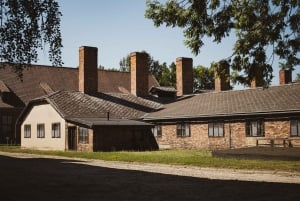 Cracovia: tour guidato di Auschwitz-Birkenau con servizio navetta