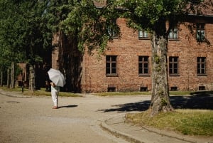 Cracovia: tour guidato di Auschwitz-Birkenau con servizio navetta