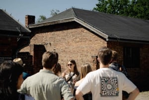 Cracovia: tour guidato di Auschwitz-Birkenau con servizio navetta