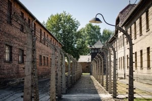 Cracovia: tour guidato di Auschwitz-Birkenau con servizio navetta