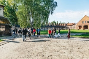 Depuis Cracovie : Visite guidée d'Auschwitz-Birkenau et options de prise en charge