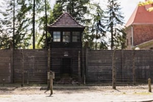 Depuis Cracovie : Visite guidée d'Auschwitz-Birkenau et options de prise en charge