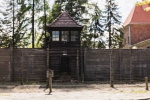 Krakow: Auschwitz-Birkenau Fully Guided Tour with Pickup