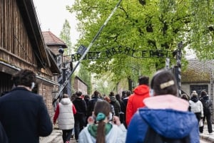 Krakow: Auschwitz-Birkenau Fully Guided Tour with Pickup