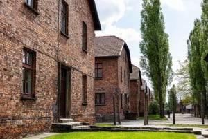 Depuis Cracovie : Visite guidée d'Auschwitz-Birkenau et options de prise en charge