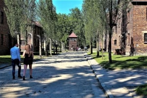 From Krakow: Auschwitz-Birkenau Guided Tour & Pickup Options