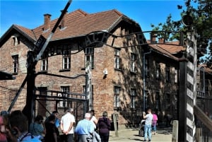 From Krakow: Auschwitz-Birkenau Guided Tour & Pickup Options