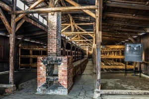 From Krakow: Auschwitz-Birkenau Guided Tour & Hotel Pickup