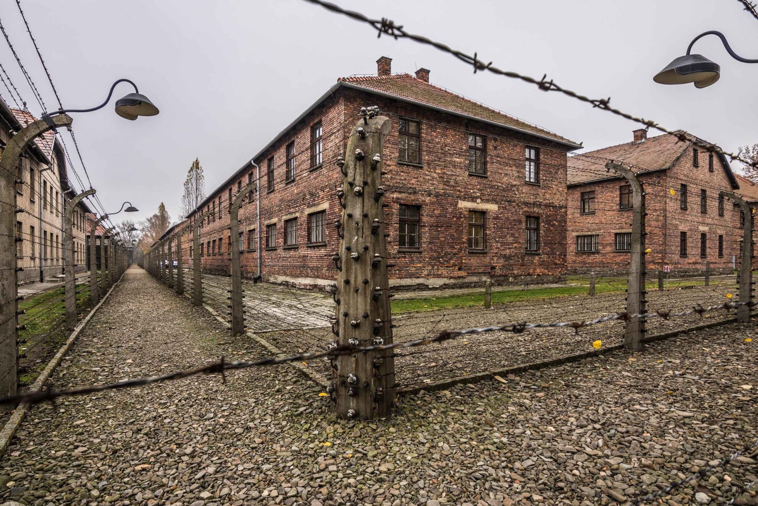 Från Krakow: Guidad tur till Auschwitz-Birkenau med transport