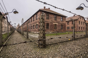 Från Krakow: Guidad tur till Auschwitz-Birkenau med transport