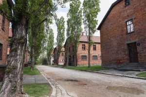 Vanuit Krakau: Auschwitz & Birkenau rondleiding met pick-up