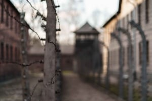 Vanuit Krakau: Auschwitz & Birkenau rondleiding met pick-up