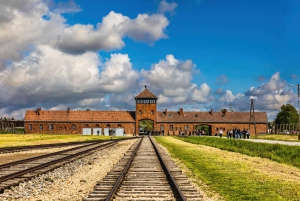 Vanuit Krakau: Auschwitz & Birkenau rondleiding met pick-up