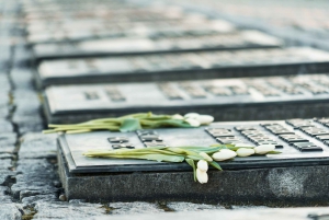 Vanuit Krakau: Auschwitz & Birkenau rondleiding met pick-up