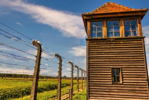 Vanuit Krakau: Auschwitz & Birkenau rondleiding met pick-up