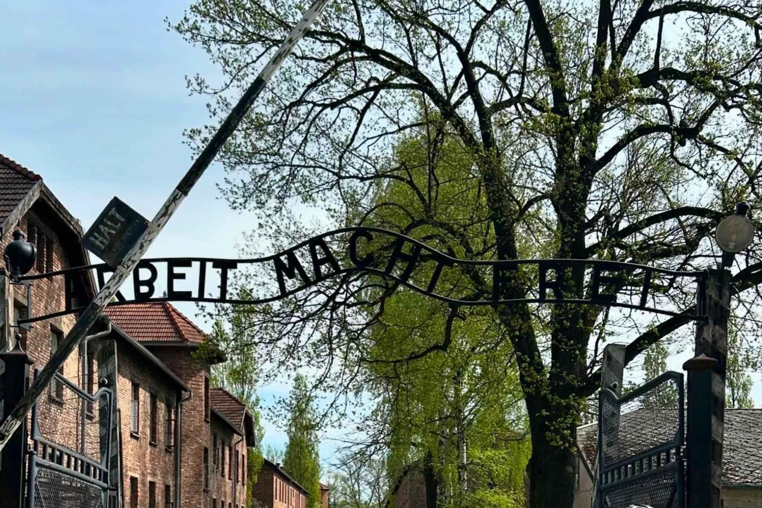 Fra Krakow: Guidet tur til Auschwitz-Birkenau med afhentning