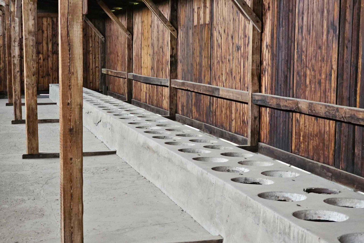 Fra Krakow: Guidet tur til Auschwitz-Birkenau med afhentning