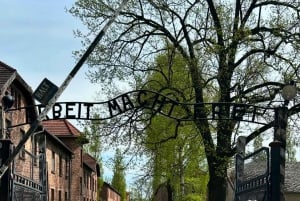 From Krakow: Auschwitz-Birkenau Guided Tour with pickup