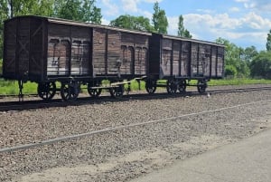 From Krakow: Auschwitz-Birkenau Guided Tour with pickup