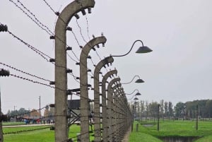 From Krakow: Auschwitz-Birkenau Guided Tour with pickup