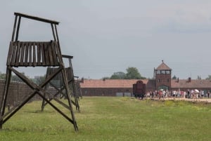 From Krakow: Auschwitz-Birkenau Guided Tour with pickup