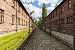 Krakovasta: Auschwitz-Birkenaun opastettu kierros noudolla