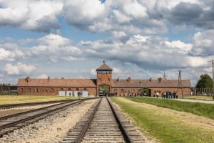 Krakovasta: Auschwitz-Birkenaun opastettu kierros noudolla
