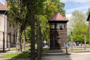 Krakovasta: Auschwitz-Birkenaun opastettu kierros noudolla