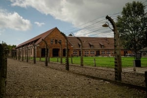Krakovasta: Auschwitz-Birkenaun opastettu kierros noudolla