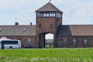 Fra Krakow: Guidet tur til Auschwitz-Birkenau med afhentning