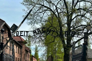 Fra Krakow: Guidet tur til Auschwitz-Birkenau med afhentning