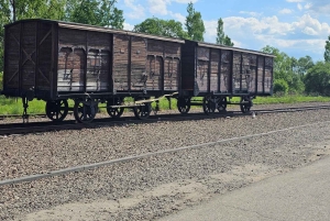 Fra Krakow: Guidet tur til Auschwitz-Birkenau med afhentning