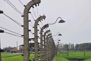 Fra Krakow: Guidet tur til Auschwitz-Birkenau med afhentning